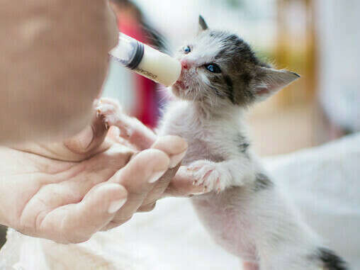 6595934e7bc7441bae4227398bf22ba9