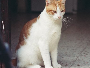 3caed412f0ddd9de65ad6c4e258223b5