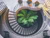 Escalier en colimaçon avec plante verte et pots orange