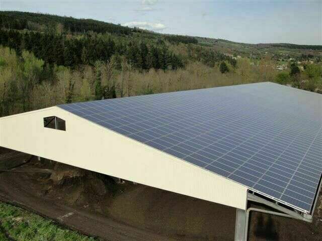 dsc0037820201217-128146-13b8lk4