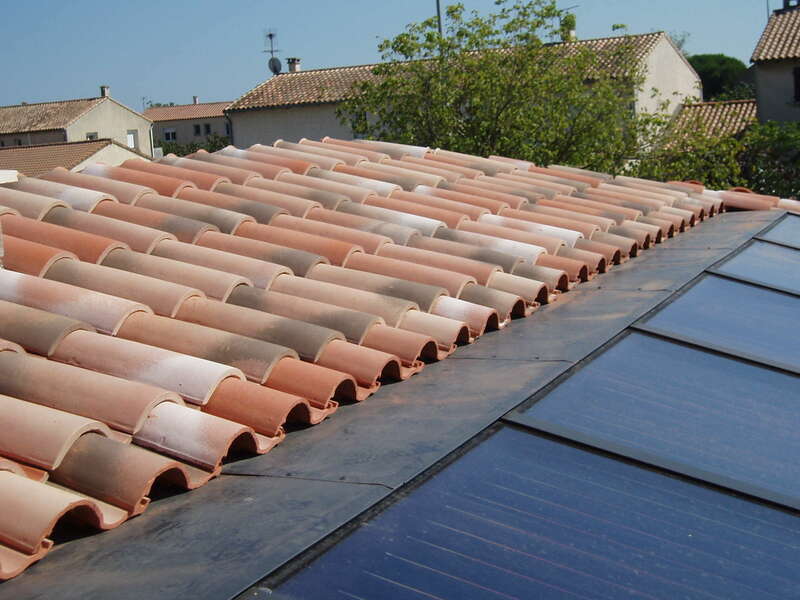 p101044820201217-128146-vyr4jf