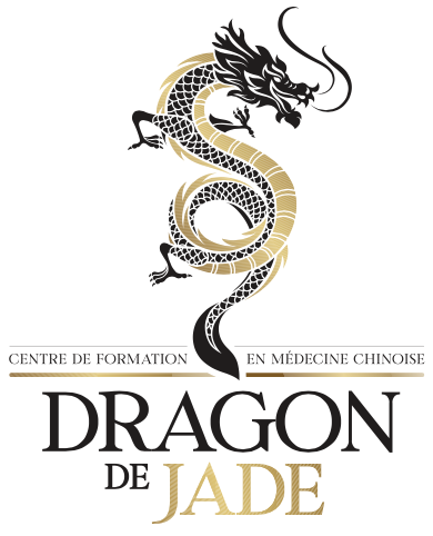 L'année du Dragon... de bois !