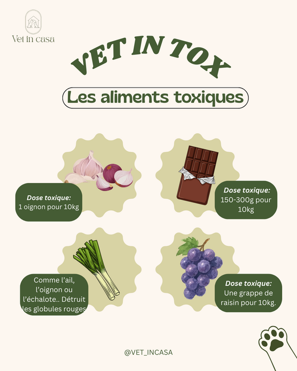 VetInTox: les aliments toxiques !