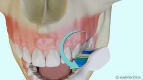Comment bien se brosser les dents ?