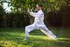pratique qi gong tai chi en pleine nature
