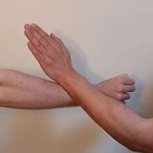 MAN SAU (問手, main qui demande)