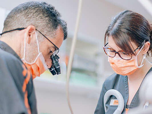 9c2e1da4d1ab56204dc520250322-3062959-8ir31m