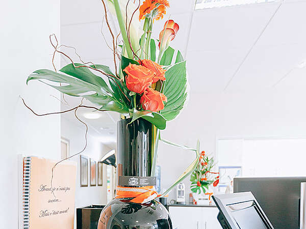 941979e669c8efb3efa320250322-3057763-n1wvsw