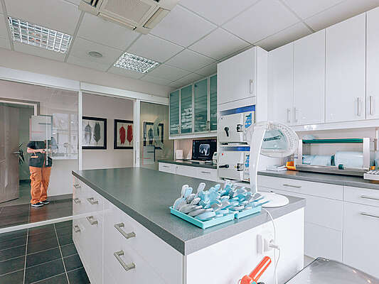 2d5582a27bad06b9508e20250322-3071120-cpsli2