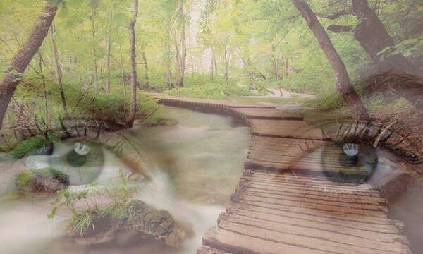 Que savez-vous à propos de l' Hypnose ?