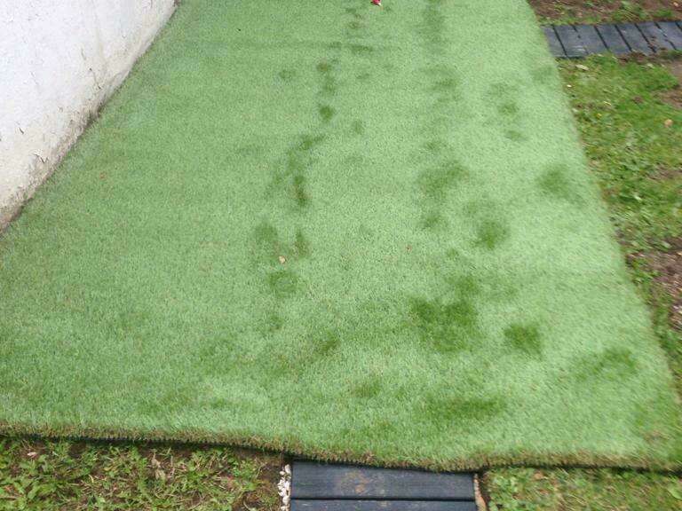 849025be-46bf-49a6-ab3c-278bc4b1c02820210326-2326212-a82cap