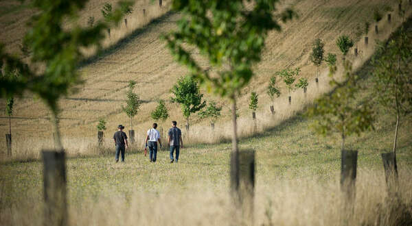Plus de 20 milliards d’euros pour l’agriculture dans le budget 2021