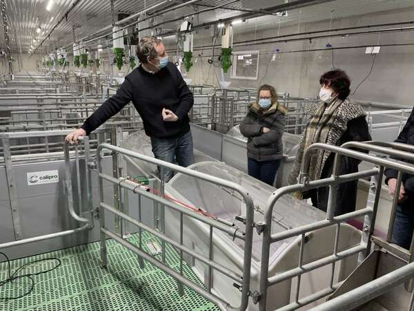 Exploitation porcine Fassot : entre bien-être animal et le bien-être au travail