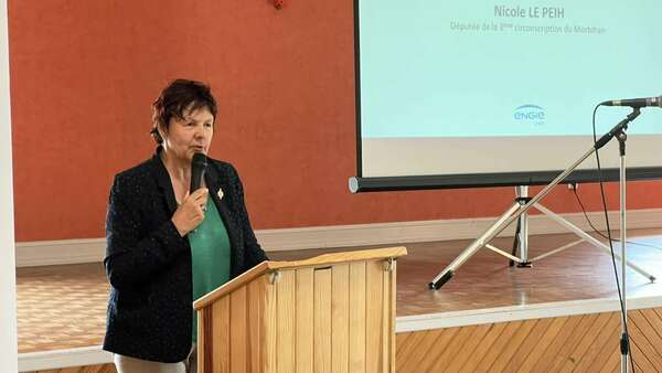 Energies renouvelables : extension du parc oélien de Radenac 