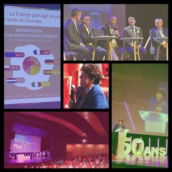 50 ans d'ARMOR OEUFS