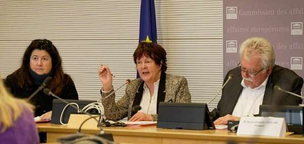 Lettre d'information Janvier 2025