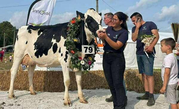 Foire de Lanvaux à Grand-Champ  et comice agricole de Locminé