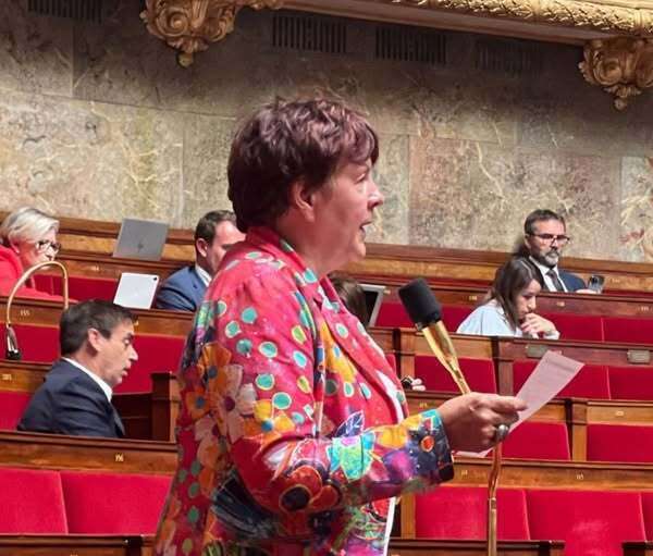 Défense de mes amendements sur la proposition de loi portant création d'un statut de l'élu local