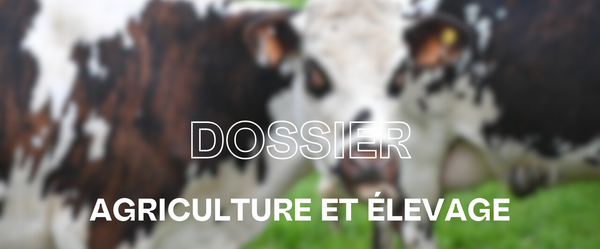 Retour sur la mission flash sur la prévention et la gestion des crises sanitaires dans les élevages