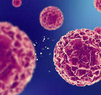 LE CANCER CHEZ LES JEUNES