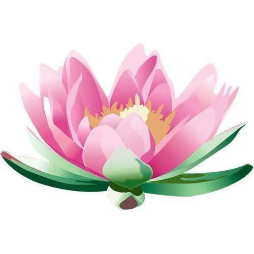 FORMATION EN NATUROPATHIE.