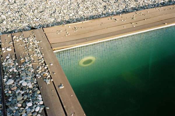 Eau verte, eau trouble : diagnostic et solutions rapides