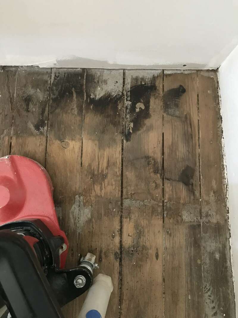 parquet_avant_sologne_img_5473