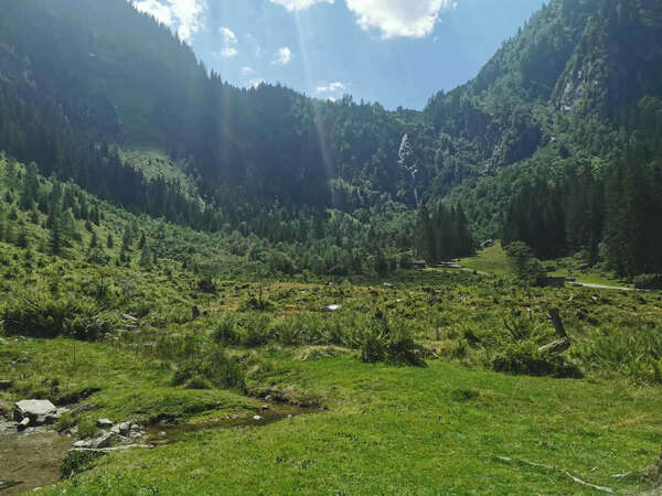 Entrez le nom de votre article...