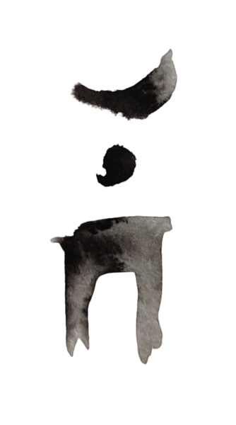 Logo Anne Laporte