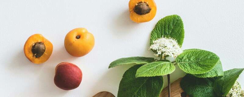 La Diététique/Nutrition