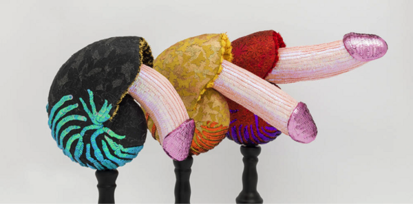 Les problèmes érectiles de l'homme. 