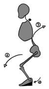 crossfit et effet des chaussures
