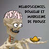 madeleine de proust et douleur