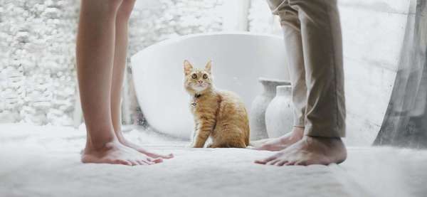 [DIVORCE] La dissolution de la communauté