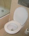 débouchage de toilettes à Viry Chatillon 91170.