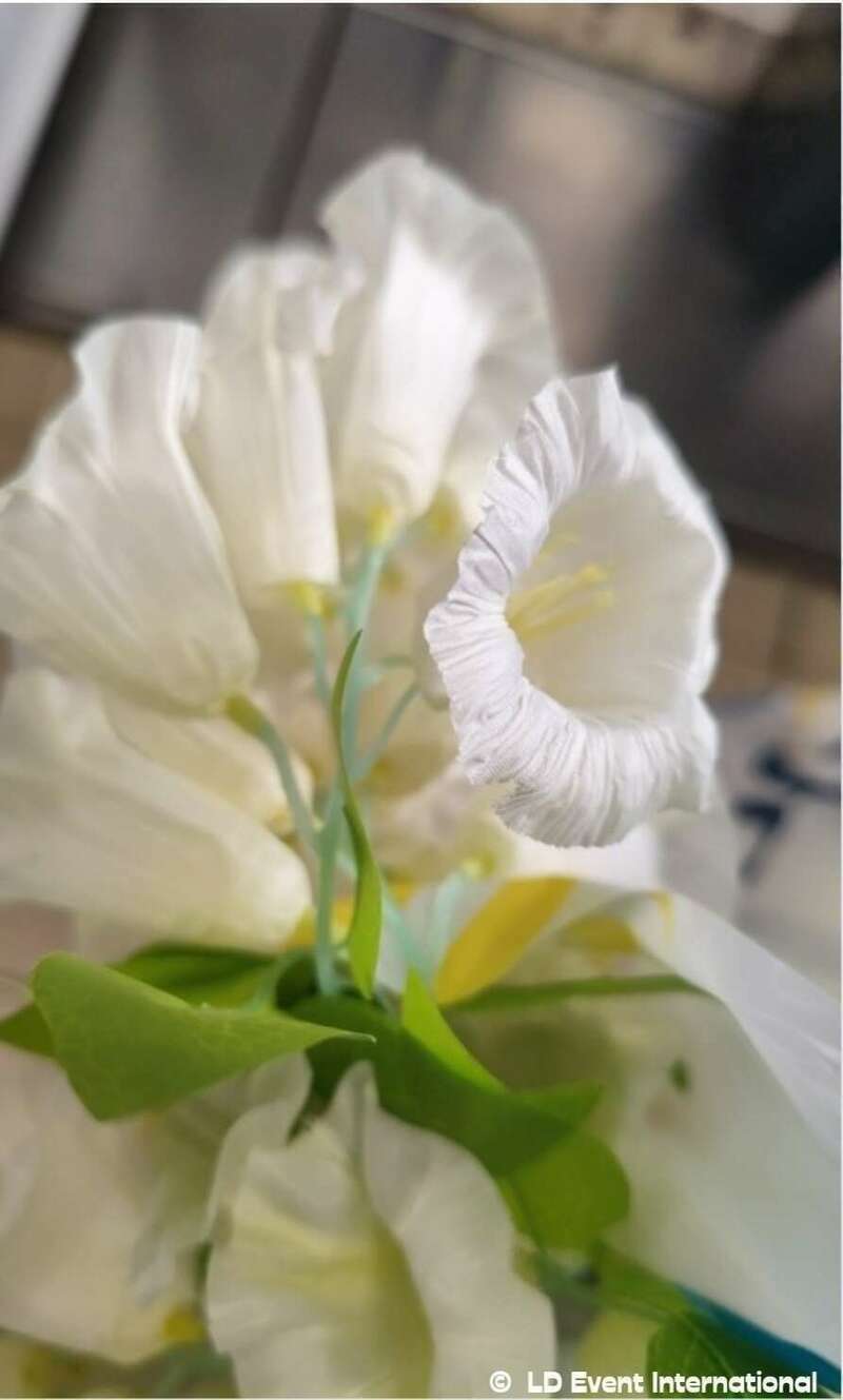 img_20240826_12414420241205-2252106-1u6rvoi