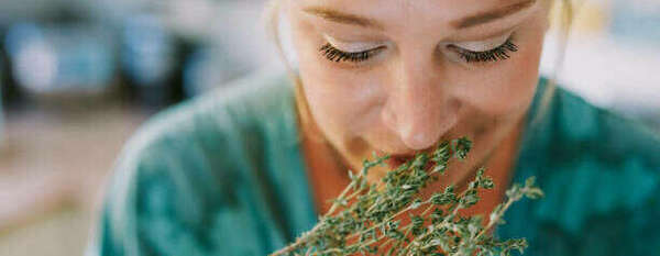 ATELIER OLFACTIF LE 12 février 2022