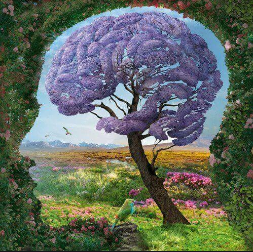 SENTIR POUR SE SOUVENIR 