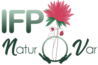 Logo IFP NATUR O VAR
