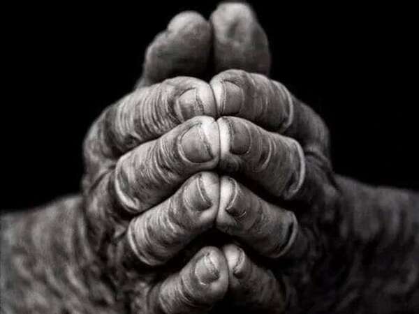 INITIATION REIKI ISUI 1er DEGRE