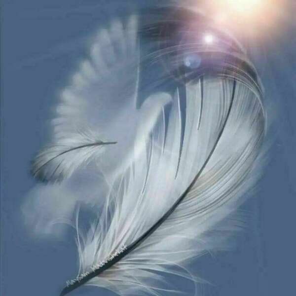 Hypnose et les thérapies brèves pour tous!