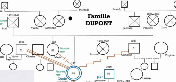 Psychogénéalogie et le génogramme