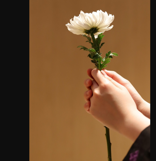 Le Deuil Émotionnel en Psychotraumatologie : Une Cicatrice Invisible