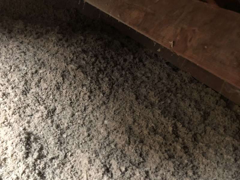 8cd7766a-afaf-43e4-ab32-1b5cef0c3dff