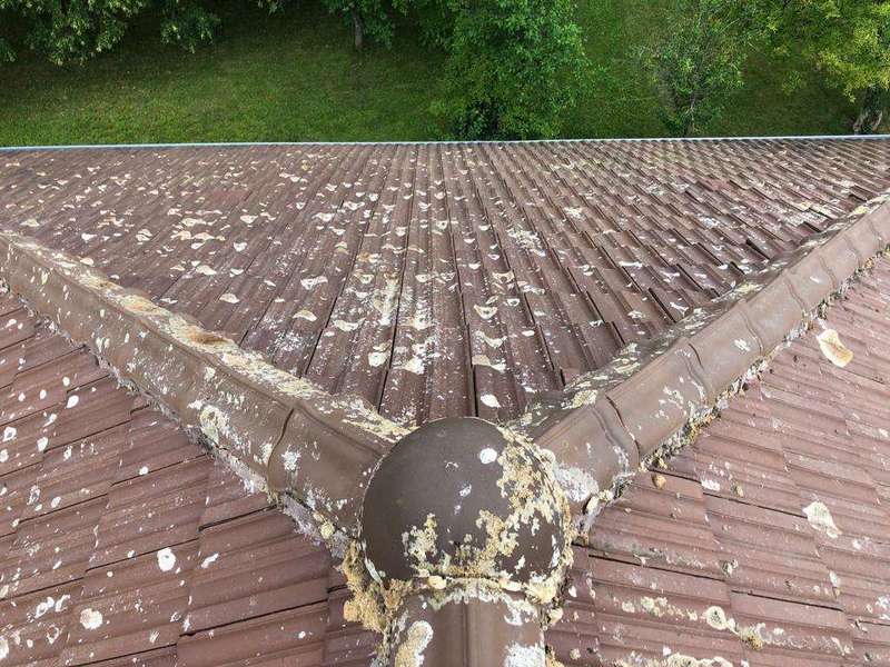 dca883b5-557b-45dc-a895-a80dac431d69