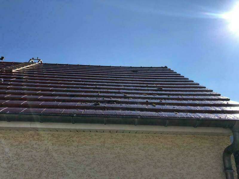 5035017f-dbbf-4103-aaa8-ae342547759c