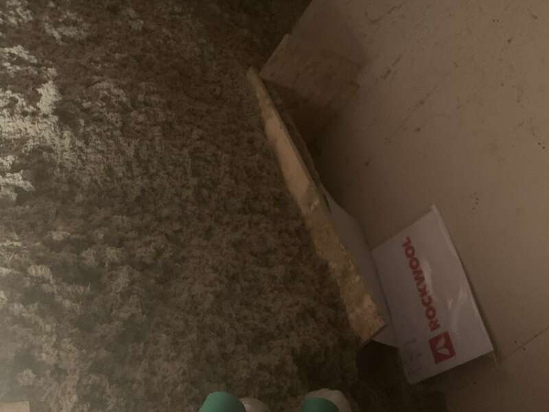 554b2f40-0c40-4e65-a7ee-441a759b5cf3