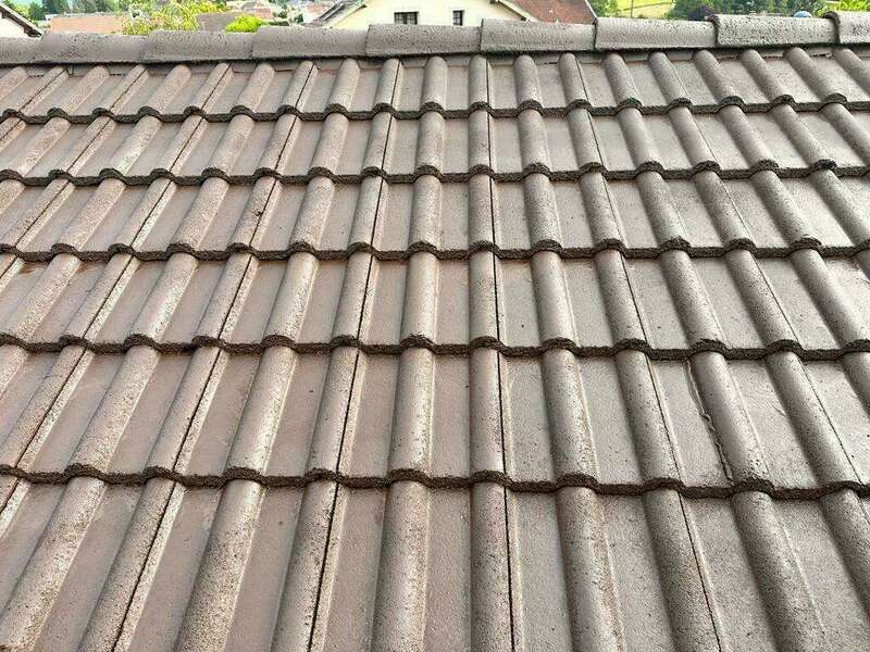 fe377e11-e498-4342-91a7-696bfc6ae970