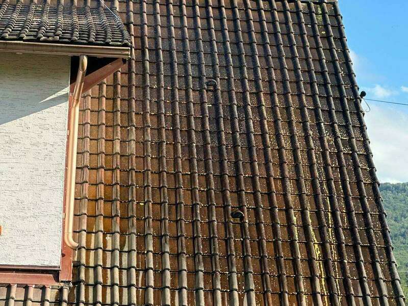 3186c849-e9f5-4c04-afa2-bdf7f001d6f5