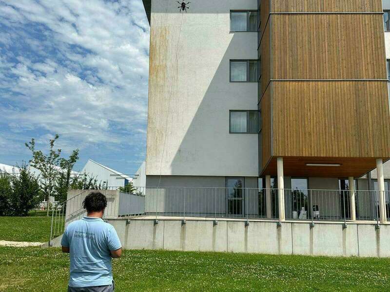 81d6ae37-cd8b-4d89-8cc4-bec0a9fc0fe3